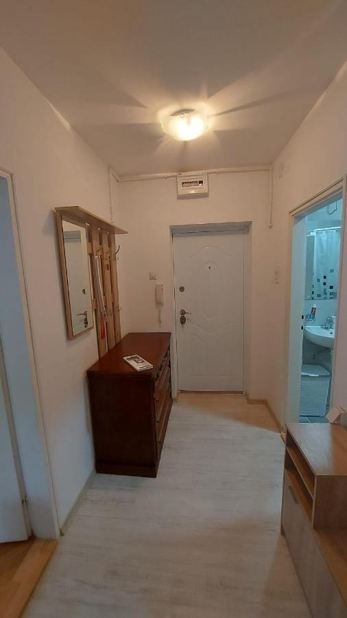 Apartman Milica Vrsac Exteriér fotografie