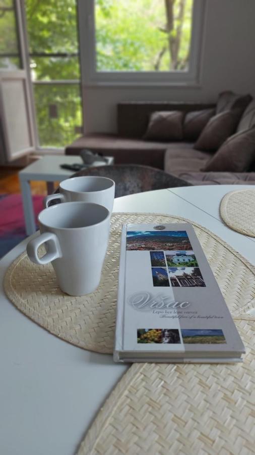 Apartman Milica Vrsac Exteriér fotografie