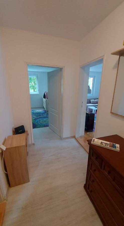 Apartman Milica Vrsac Exteriér fotografie