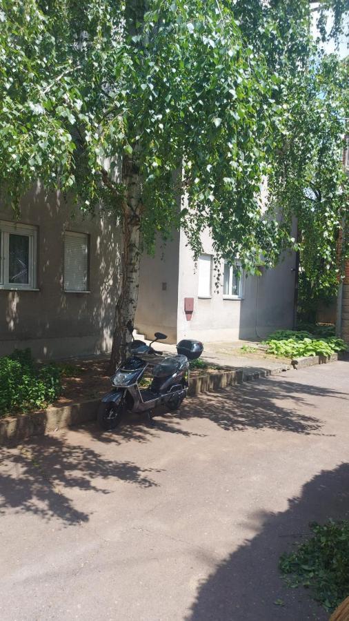 Apartman Milica Vrsac Exteriér fotografie
