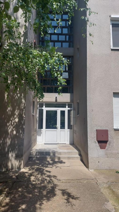 Apartman Milica Vrsac Exteriér fotografie