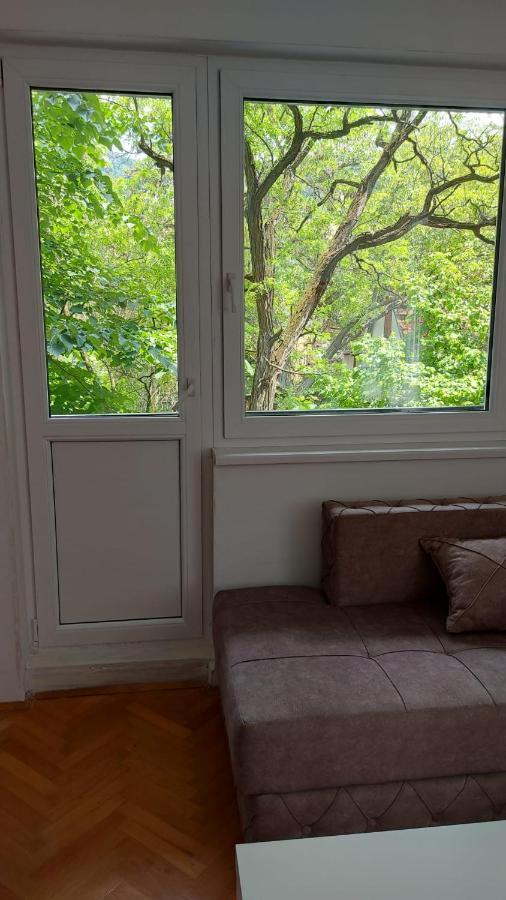 Apartman Milica Vrsac Exteriér fotografie